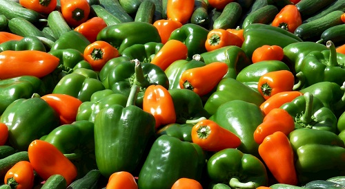 市場監(jiān)管必備儀器，食品安全檢測儀器有哪些作用