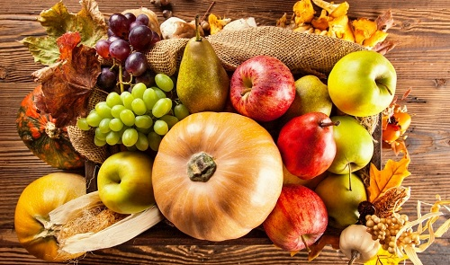 食品安全檢測(cè)儀靠譜嗎？出口貿(mào)易的監(jiān)督者