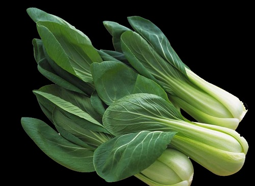 不合格食品風險控制，快速檢測儀器可檢農(nóng)藥殘留超標