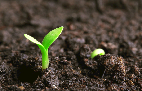 測(cè)土配方儀的應(yīng)用價(jià)值是什么？測(cè)土配方儀的應(yīng)用前景