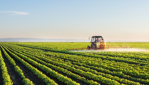 農(nóng)藥殘留檢測儀守護(hù)消費(fèi)者菜籃子安全