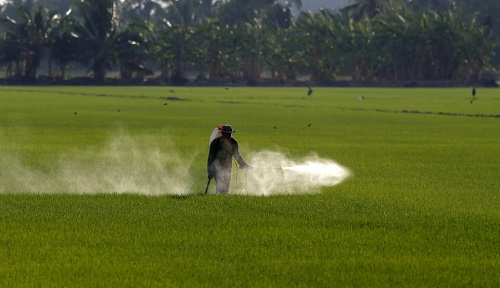 全自動農(nóng)藥殘留檢測儀的功能特點有哪些？