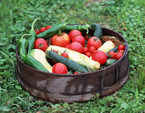 到底什么是農(nóng)藥殘留超標(biāo)？農(nóng)藥殘留檢測(cè)儀避免農(nóng)藥殘留超標(biāo)