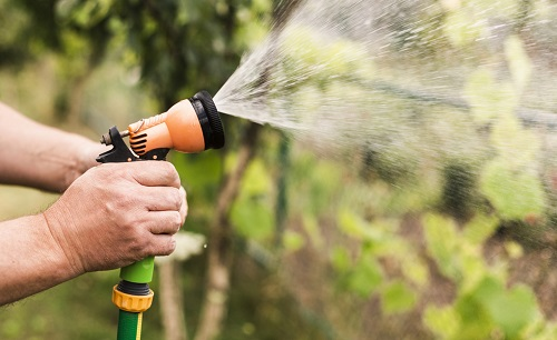 蔬果買回用農(nóng)殘檢測(cè)儀測(cè)一測(cè)，食品安全更放心!