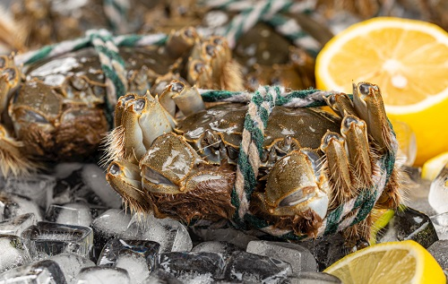 隔夜蟹、死螃蟹到底能不能吃？小心菌落總數(shù)激增