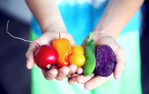 食品安全儀器的檢測(cè)對(duì)象包括哪些？