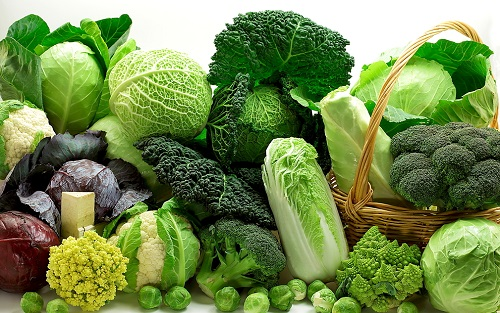 智能食品安全檢測儀的運(yùn)用，實(shí)現(xiàn)食品安全問題的猜測和猜測報(bào)警