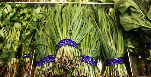 韭菜農(nóng)藥殘留超標如何解決？兩方面合力保障食品安全