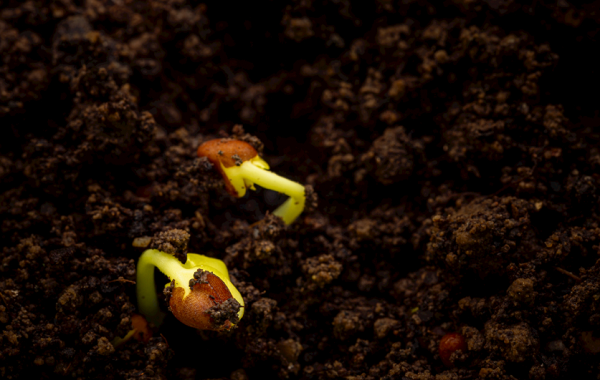 土壤研磨儀是什么？在選擇土壤研磨儀時(shí)應(yīng)該考慮哪些問題？