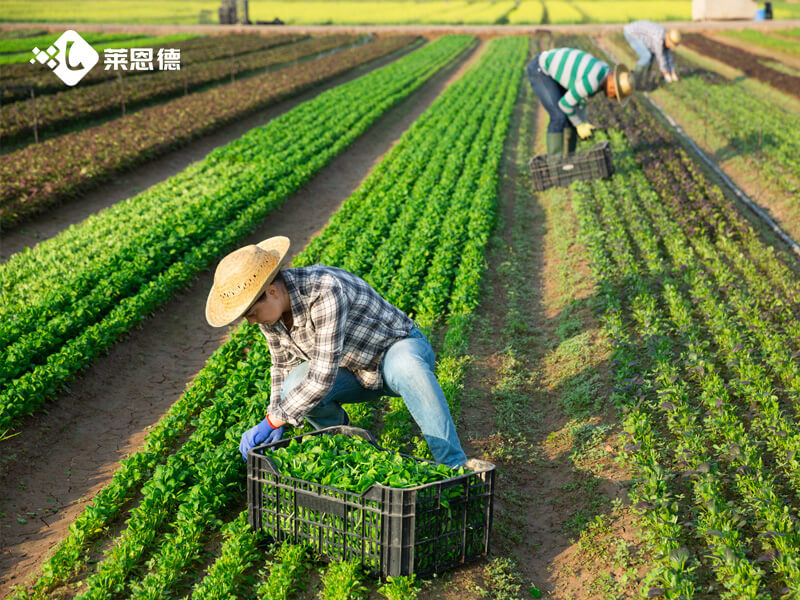 科研級土壤肥料養(yǎng)分檢測儀 農(nóng)業(yè)科研單位如何選型